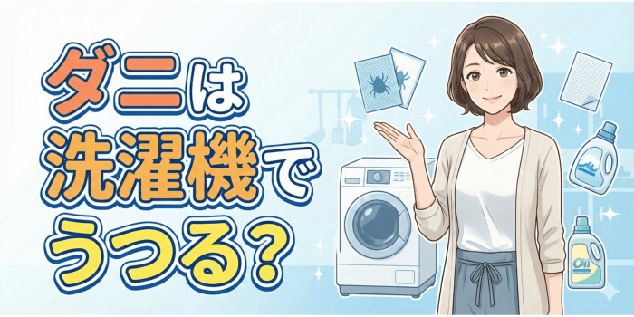 【衝撃の事実】ダニは洗濯機でうつる?原因・正しい洗い方を完全ガイド